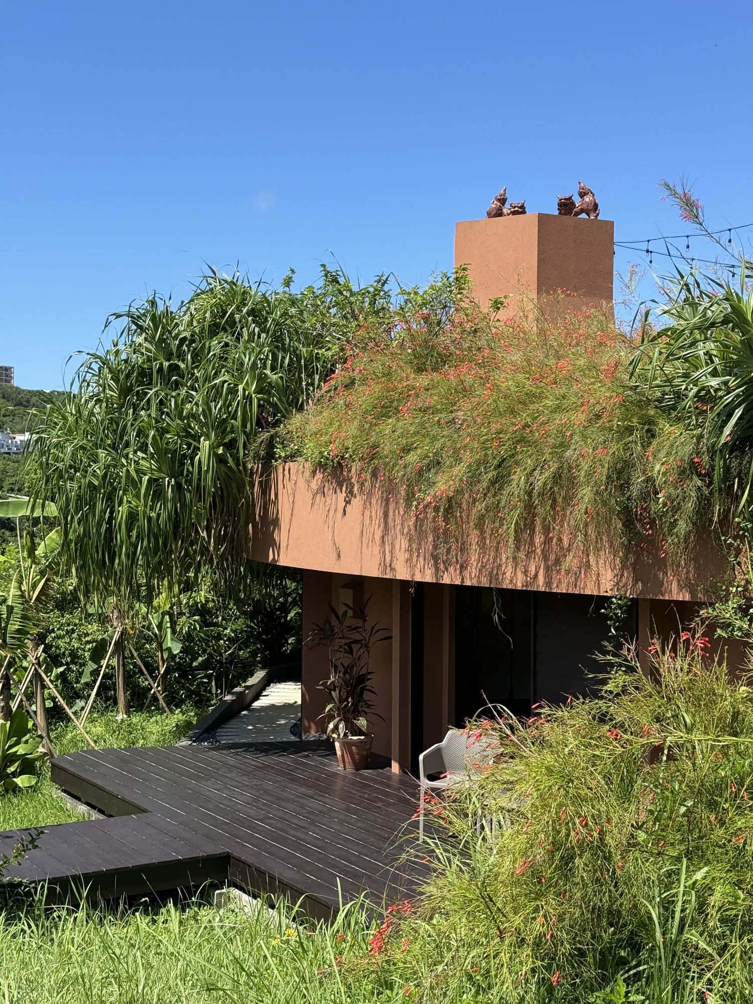 草屋頂、赤土色量體與戶外木平台